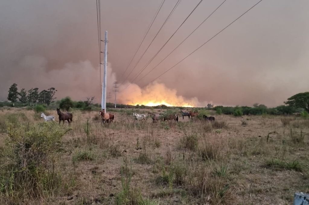 El fuego arrasó las instalaciones del INTA de Mercedes en Corrientes