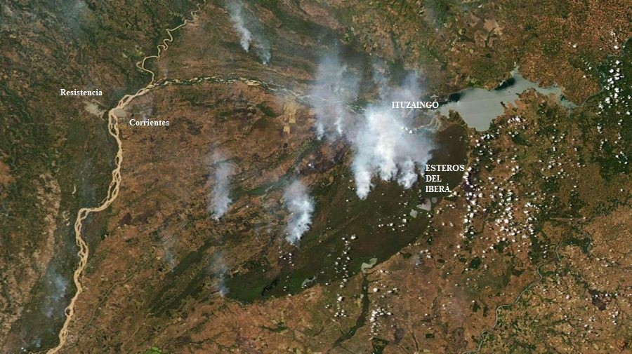 Tremendas pérdidas ecológicas y económicas por los incendios en Corrientes