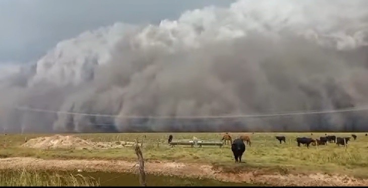 Impresionantes tormentas de cenizas y tierra afectan a Corrientes 