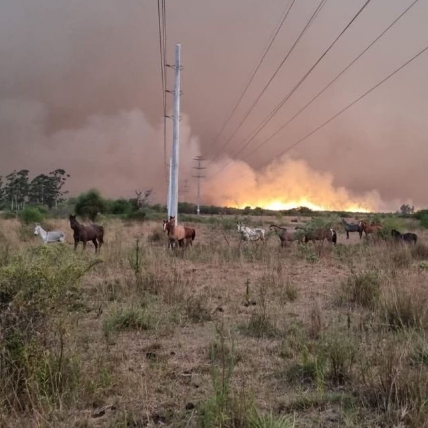 El fuego arrasó las instalaciones del INTA de Mercedes en Corrientes