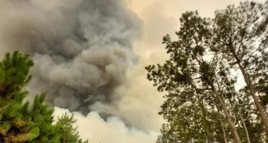 Funcionarios nacionales desmienten a Cabandié sobre los incendios en Corrientes