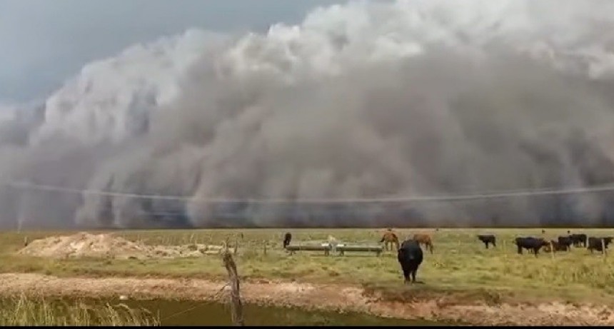 Impresionantes tormentas de cenizas y tierra afectan a Corrientes 