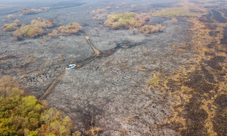 Advierten sobre 'intencionalidad política' en los incendios