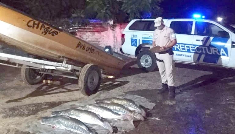 En Corrientes incautaron 150 kilos de surubíes