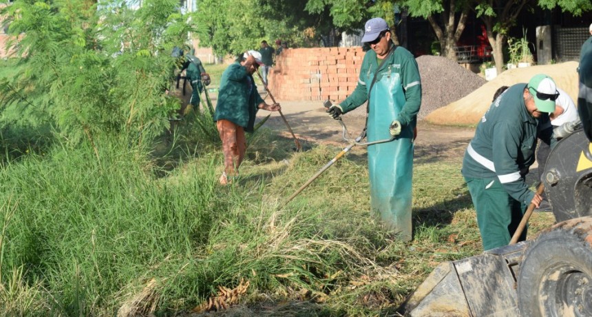 Trabajos municipales en Villa Odorico de Resistencia