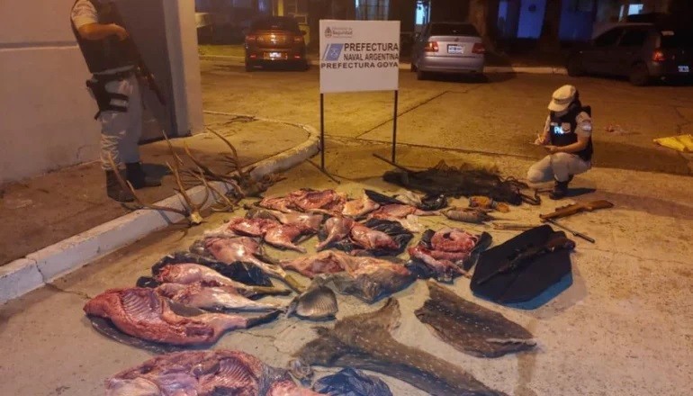 Caza furtiva: incautan en Goya 200 Kg. de carne y armas