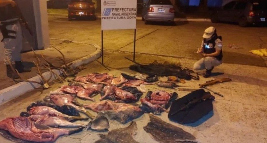 Caza furtiva: incautan en Goya 200 Kg. de carne y armas